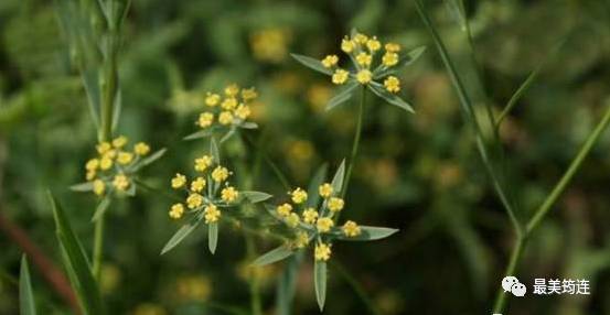 血泪教训要记牢