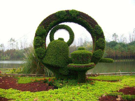 玫瑰花树如何巧妙双造型，打造独特景观