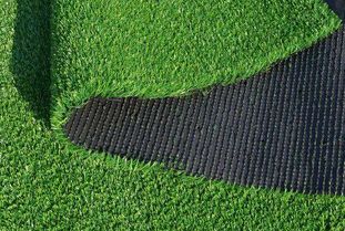 草坪发黄的原因探究