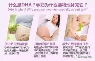 孕妇Ke以从哪些食物中获得DHA