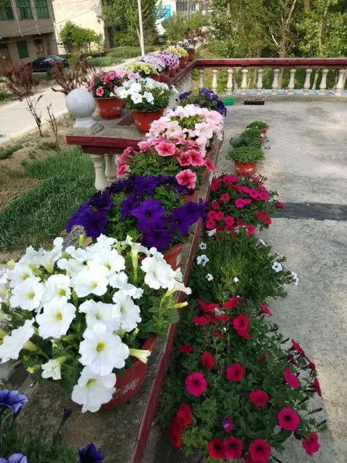 气候的喜怒无常