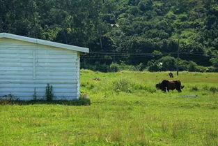 土壤改良，堪这三宝