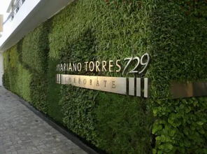 绿色植物墙的打造之道