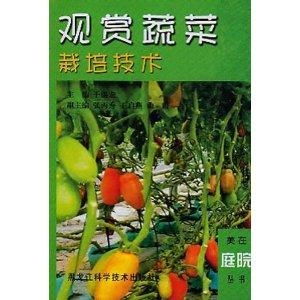 ▎三层防护体系构建平安屏障