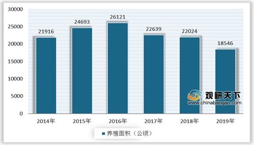 对虾养殖成本涉及饲料、人工、设备等