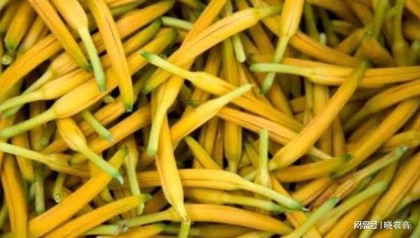 黄花菜多少钱一斤？市场价格波动原因是什么