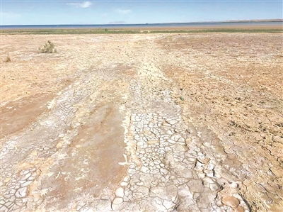 东北黑土地的神奇魅力