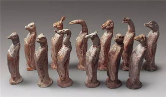 动物造型月季，你见过吗？