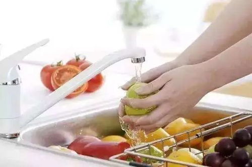 宝福尼Boffany驱虫糖浆：宠物驱虫新选择