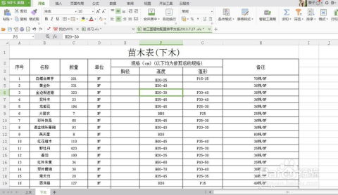 苗木表编制的基本原则