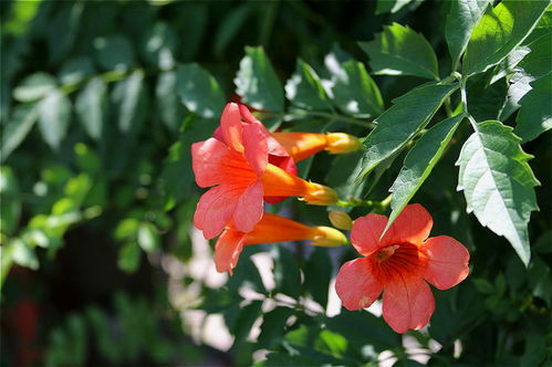 春季的温暖怀抱