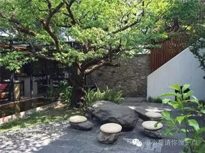 树荫地的隐形杀手