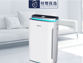 影响除甲醛效果的因素