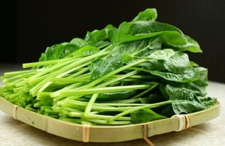 出国种菠菜被抓，坐牢时间会很长吗
