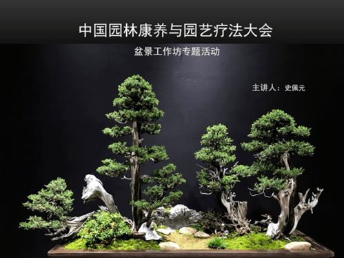 康养园艺课程：走进自然的课堂