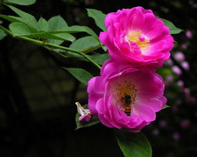 阳光充足， 温暖湿润是首选