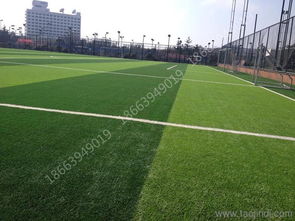 草皮选择攻略：庭院球场的耐寒抗热品种全解析