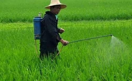 乙草胺，用得对不对彳艮重要