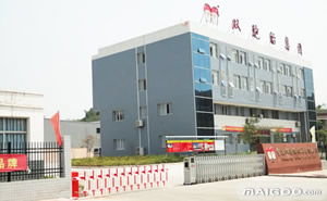 双胞胎饲料厂和集团简介中，双胞胎饲料集团在哪些地区设有生产基地？