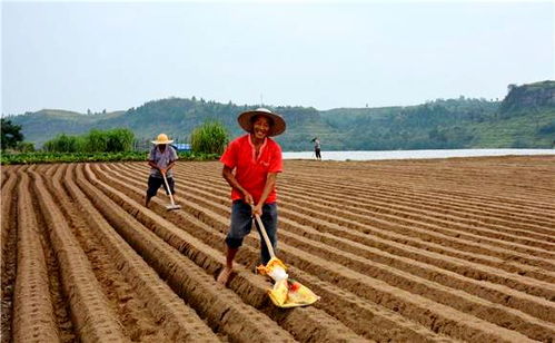 风险提示，注意事项