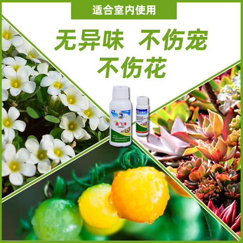 喷花要小心，浓度过高会伤害花卉