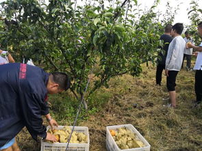 政策助力， 点燃内生动力