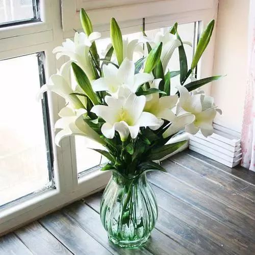 百合花谢后庭院美化指南：如何优雅处理？