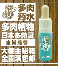 花卉烂根专用杀菌剂大盘点