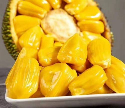 树菠萝如何室内保存？保鲜技巧有哪些