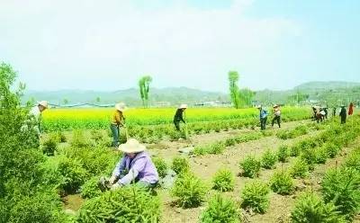 学习与转换思路