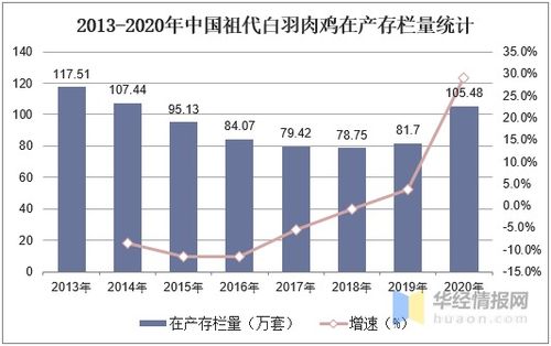 养白羽肉鸡市场前景广阔，需关注养殖技术、市场需求及产业链发展