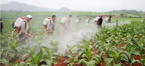 农药使用，科学管理