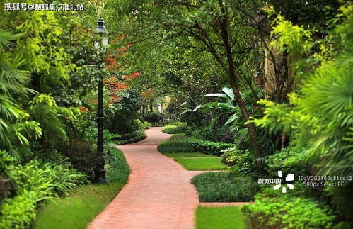 园林中心的努力