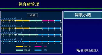 中小规模猪场自配料生产车间管理核心关键词