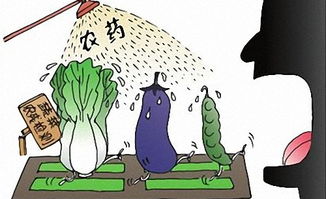 农药的储存与运输