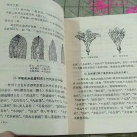 反方观点：自卫之举，不算杀生