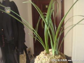 日常管理与通风