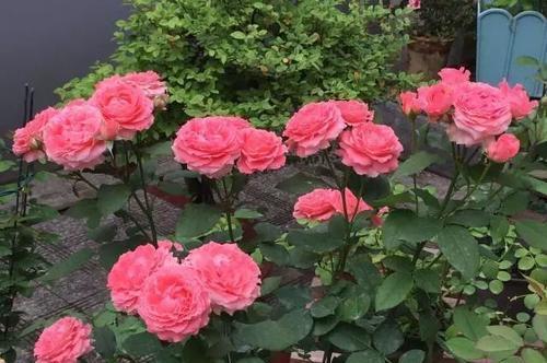 控水的好处，你了解吗？