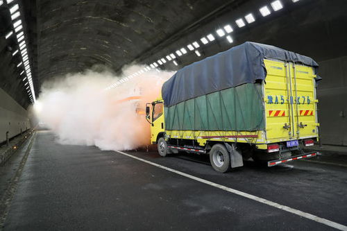 市政府的应对措施