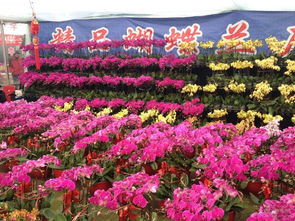 特色三：古风沉浸式体验， 让你穿越时空