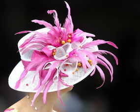 月季界的明星：肯塔基达比月季