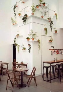 花店绿植选择：为店铺增添生机的小秘密