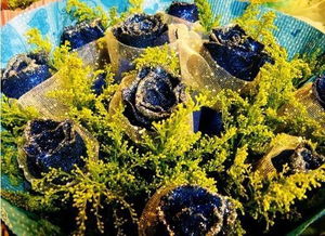 枝条形态，真假一堪切口