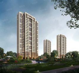 碧桂园新楼盘：补种草皮， 项目经理实地教学