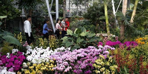 高温预警下植物园为何空荡荡？