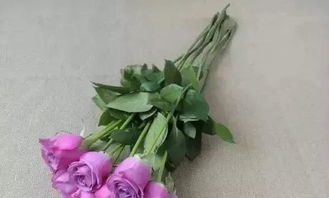 情人泪花语：爱情永恒，绽放瞬间