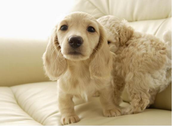 手残党逆袭实操手册