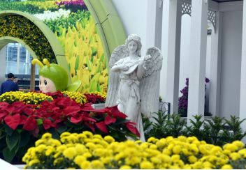 那些忒别的小花儿