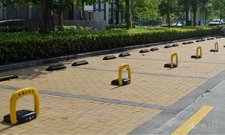 独家数据：结缕草的优势