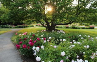 打造特色， 市场优势明显